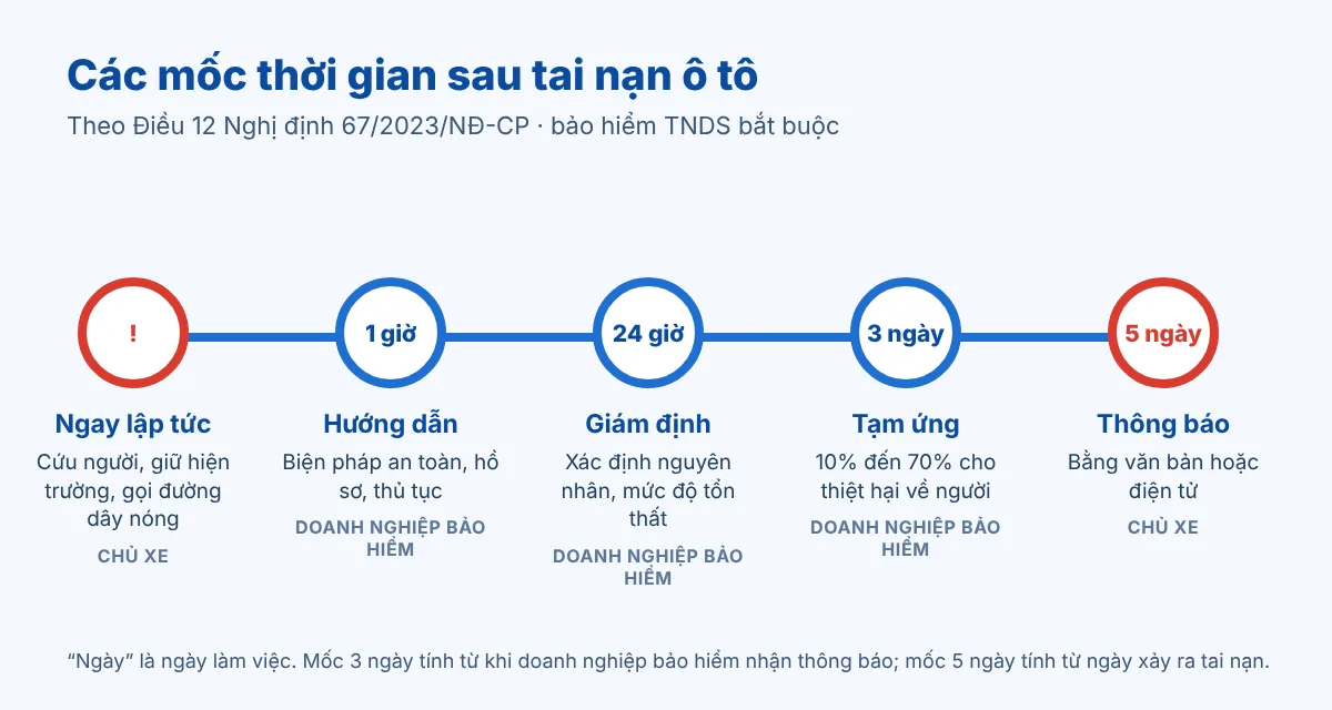 Hình ảnh mô phỏng sơ đồ năm mốc thời gian sau tai nạn ô tô: báo ngay, 1 giờ, 24 giờ, 3 ngày làm việc và 5 ngày làm việc